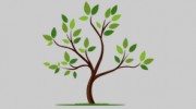 Belmont Psychological Services