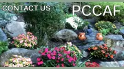 Psychotherapy Center For Children & Families