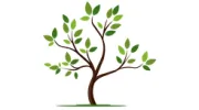 Belmont Psychological Services