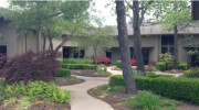 Insight Psychological Services